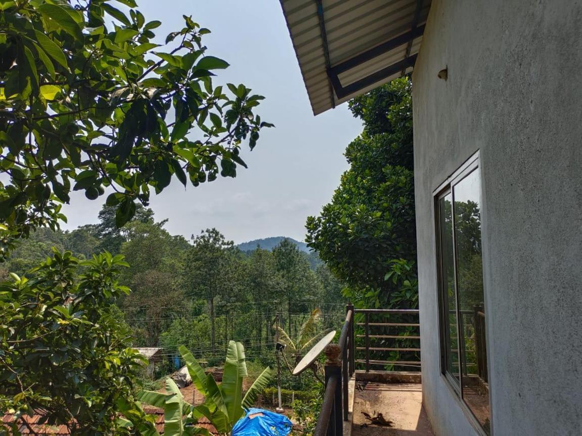 Green Land Estate Homestay 5 Rooms With Garden View Madikeri Kültér fotó