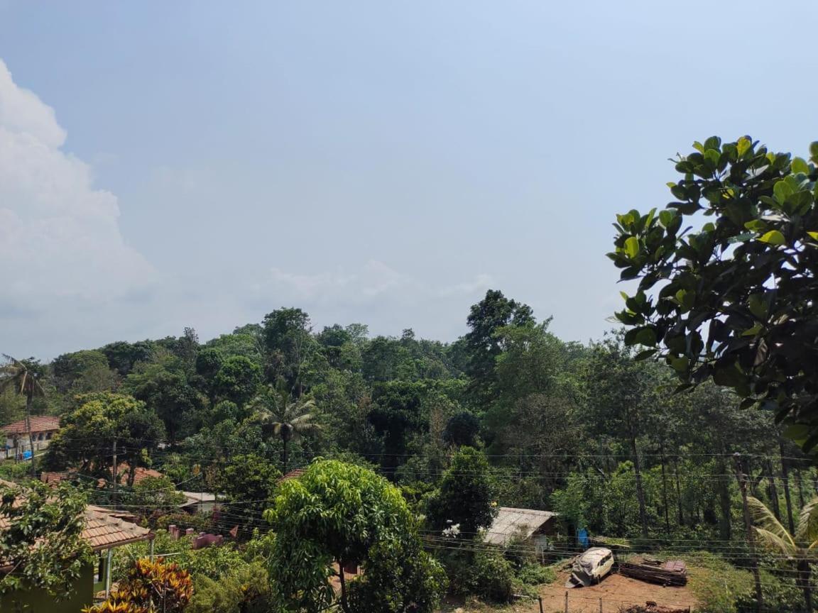 Green Land Estate Homestay 5 Rooms With Garden View Madikeri Kültér fotó