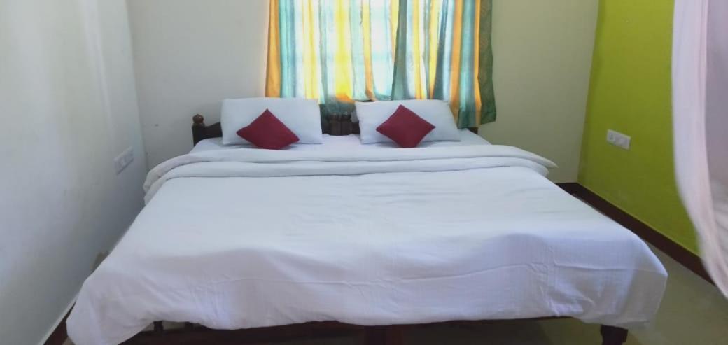 Green Land Estate Homestay 5 Rooms With Garden View Madikeri Kültér fotó