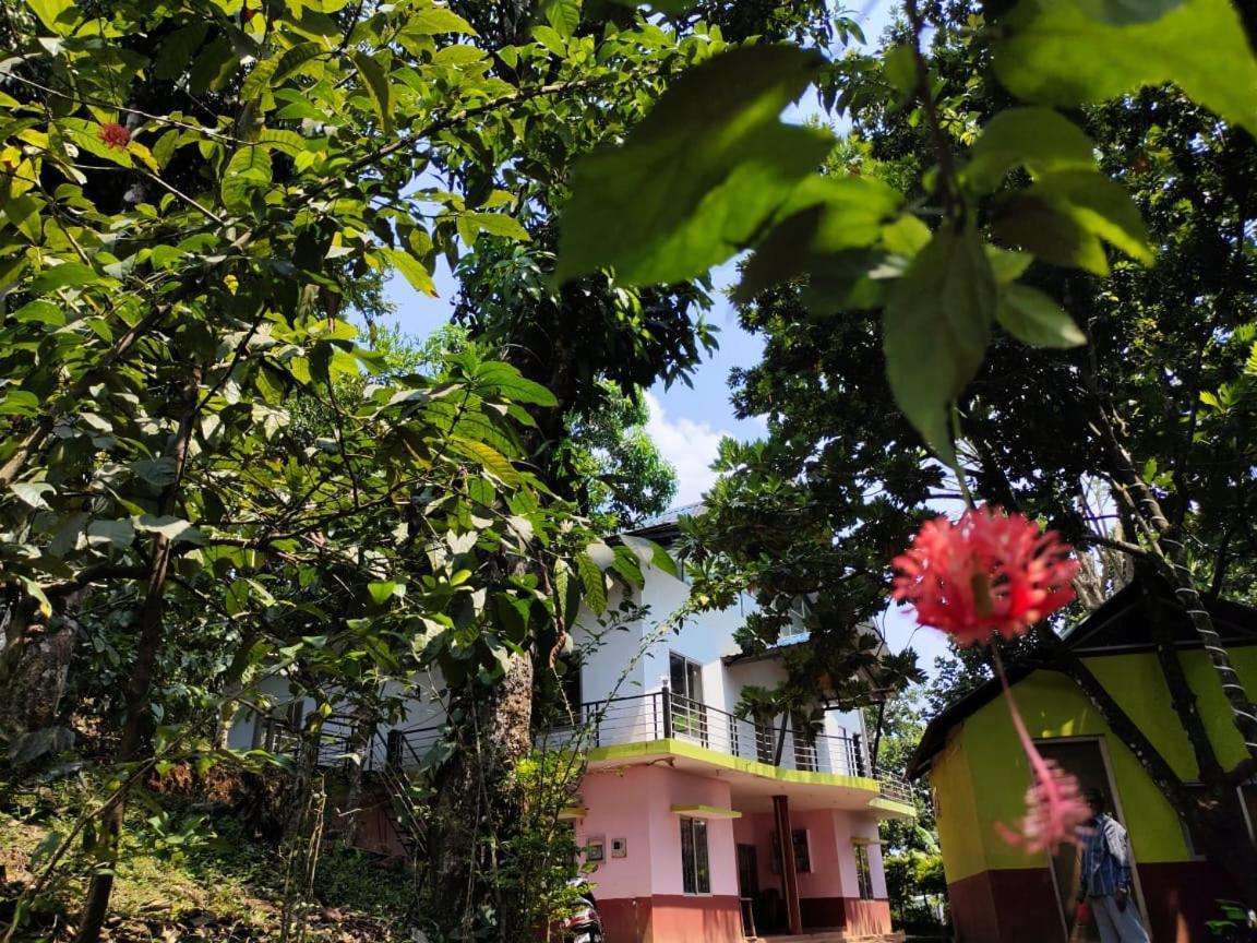 Green Land Estate Homestay 5 Rooms With Garden View Madikeri Kültér fotó