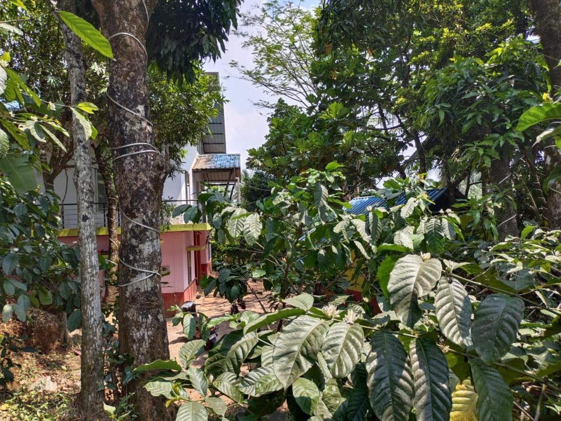 Green Land Estate Homestay 5 Rooms With Garden View Madikeri Kültér fotó