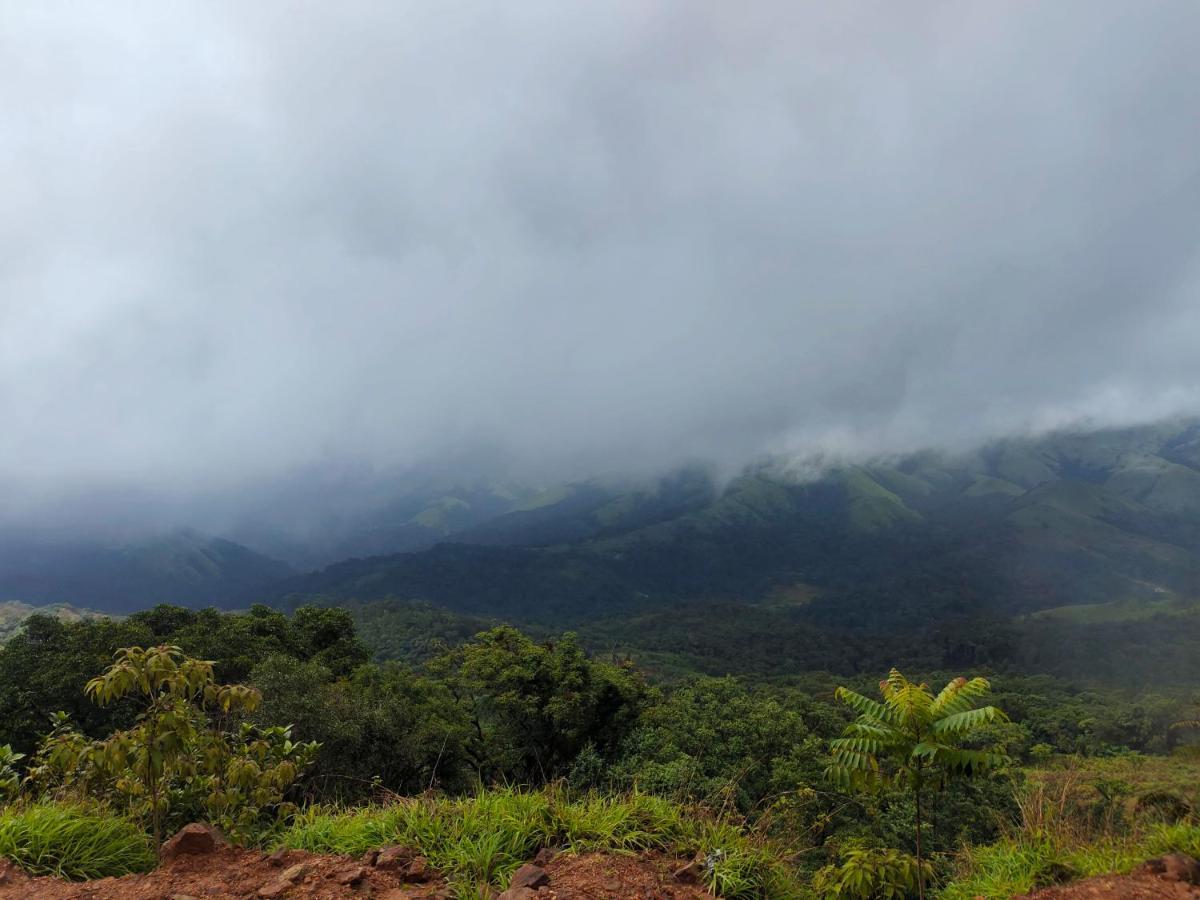 Green Land Estate Homestay 5 Rooms With Garden View Madikeri Kültér fotó